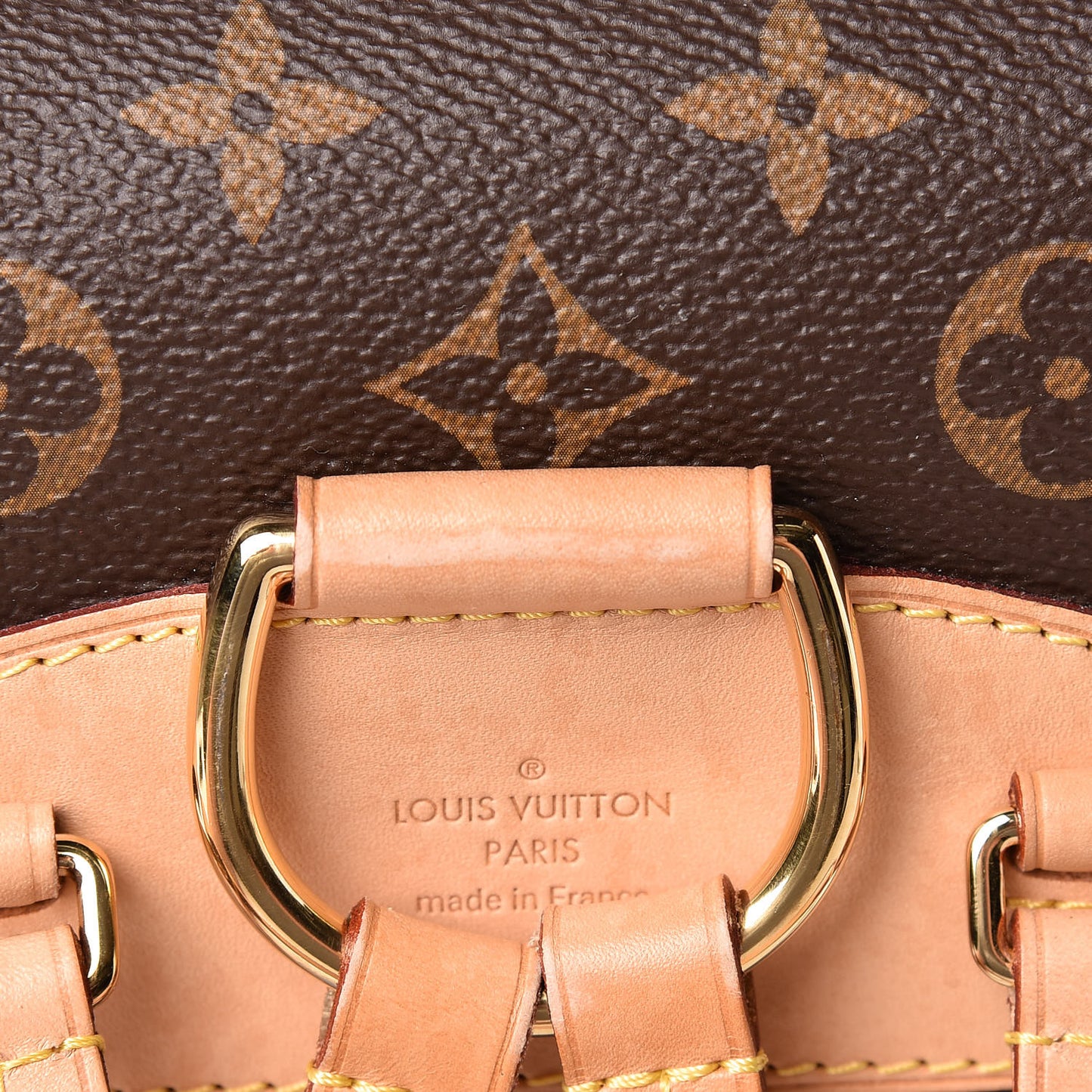 Monogram Montsouris NM Backpack