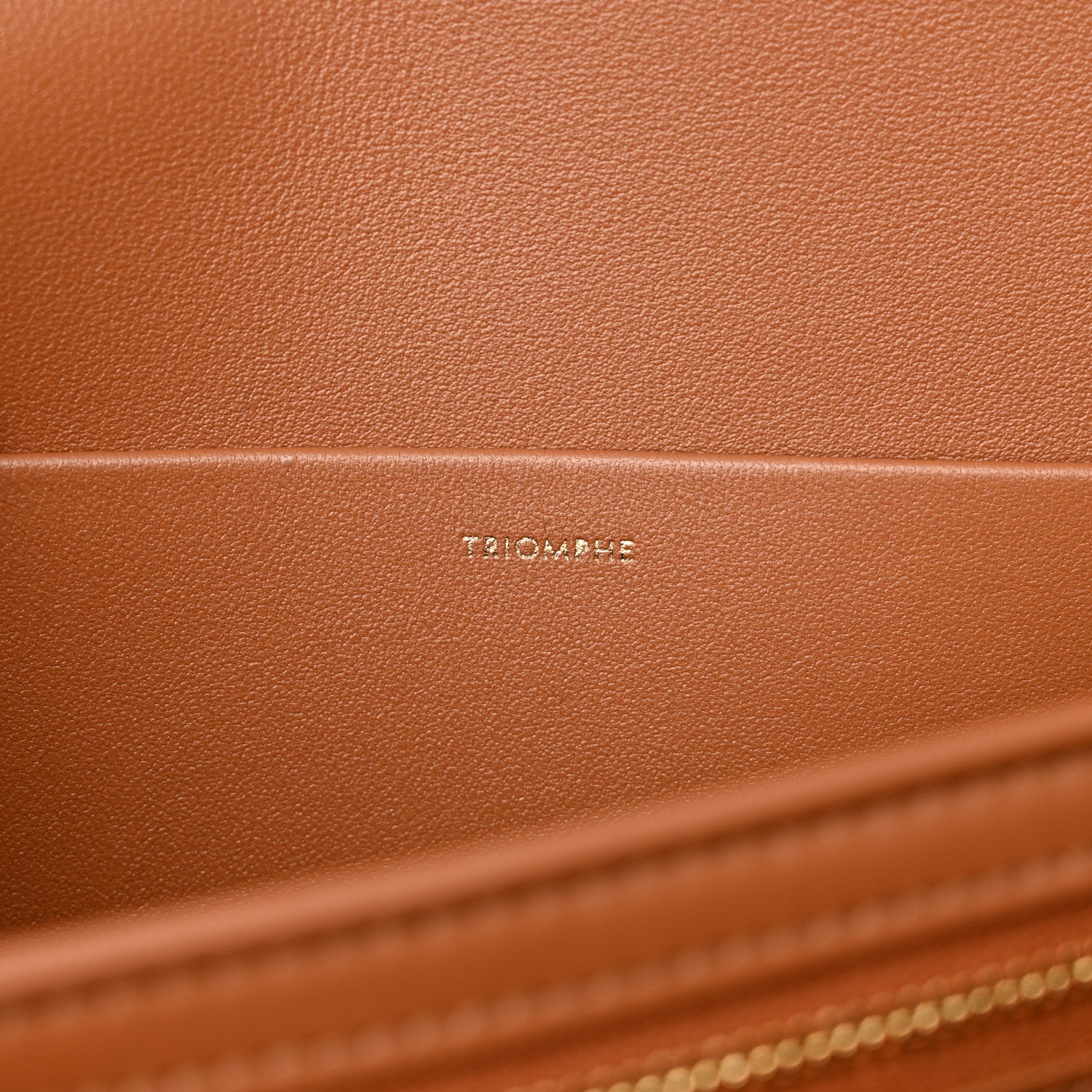 Celine Shiny Calfskin Medium Triomphe Tan 6 of 11