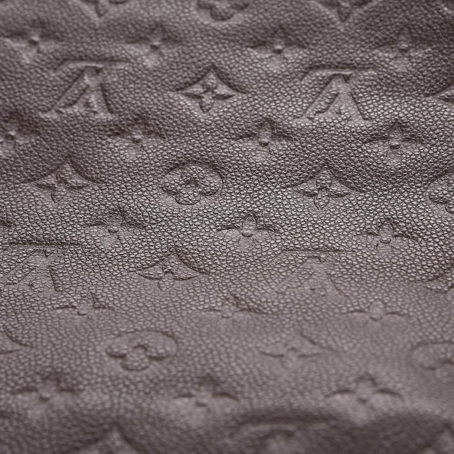 Empreinte Metis Terre