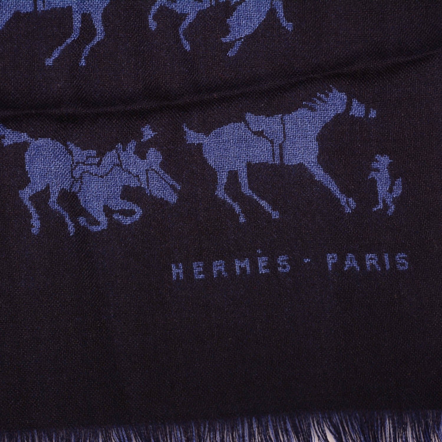 Hermes Cashmere Silk Fringe Stole 4 of 6