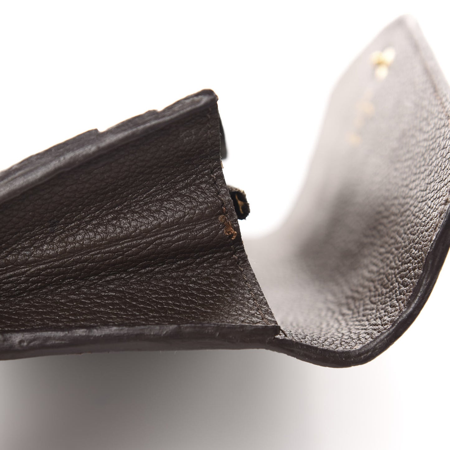Empreinte Curieuse Wallet Terre