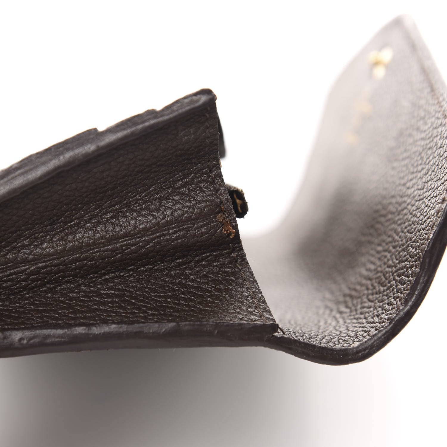 Louis Vuitton Empreinte Curieuse Wallet Terre 7 of 10