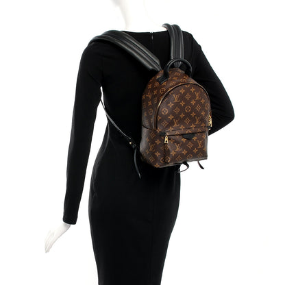 Louis Vuitton Monogram Palm Springs Backpack PM 2 of 9