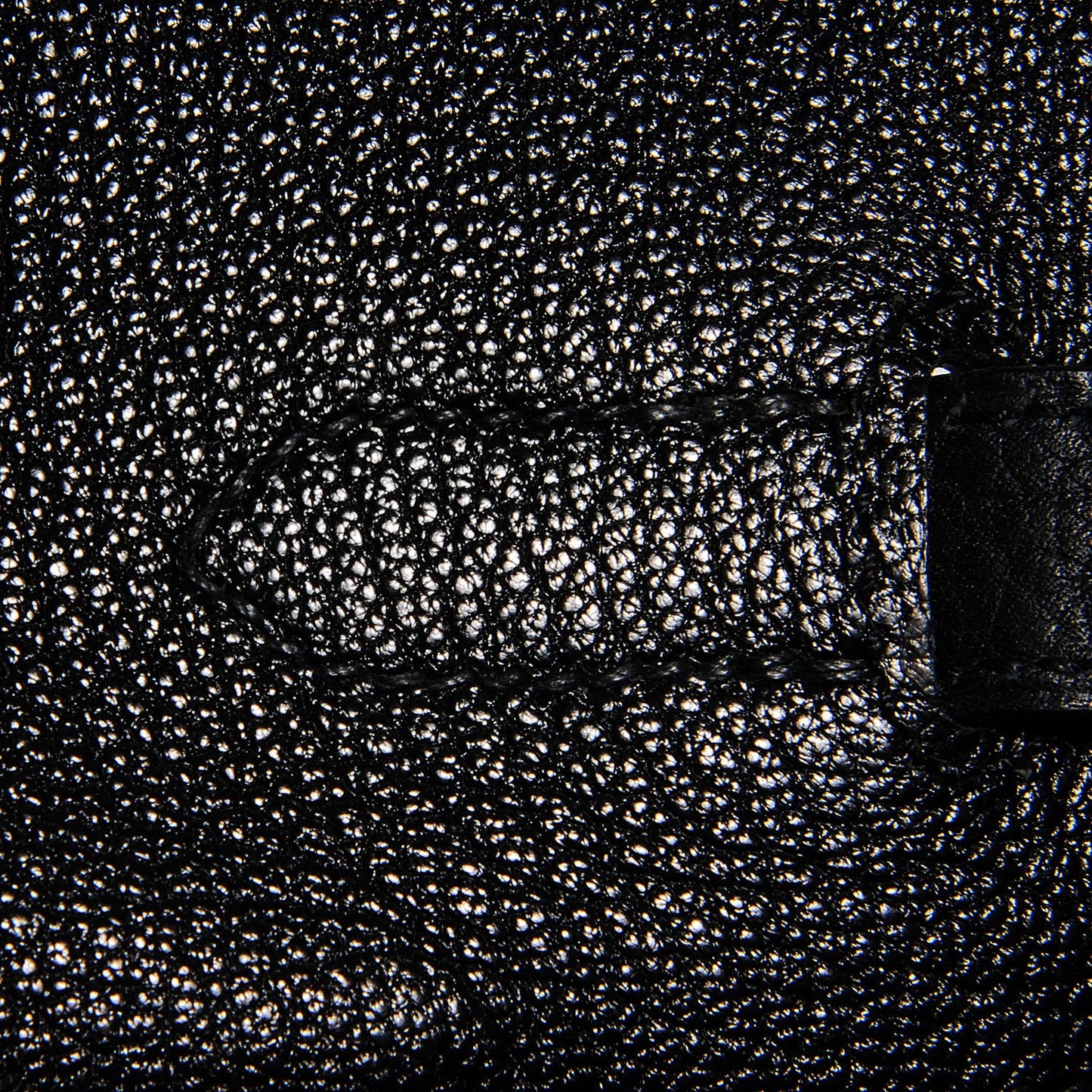 Fjord Birkin 35 Black