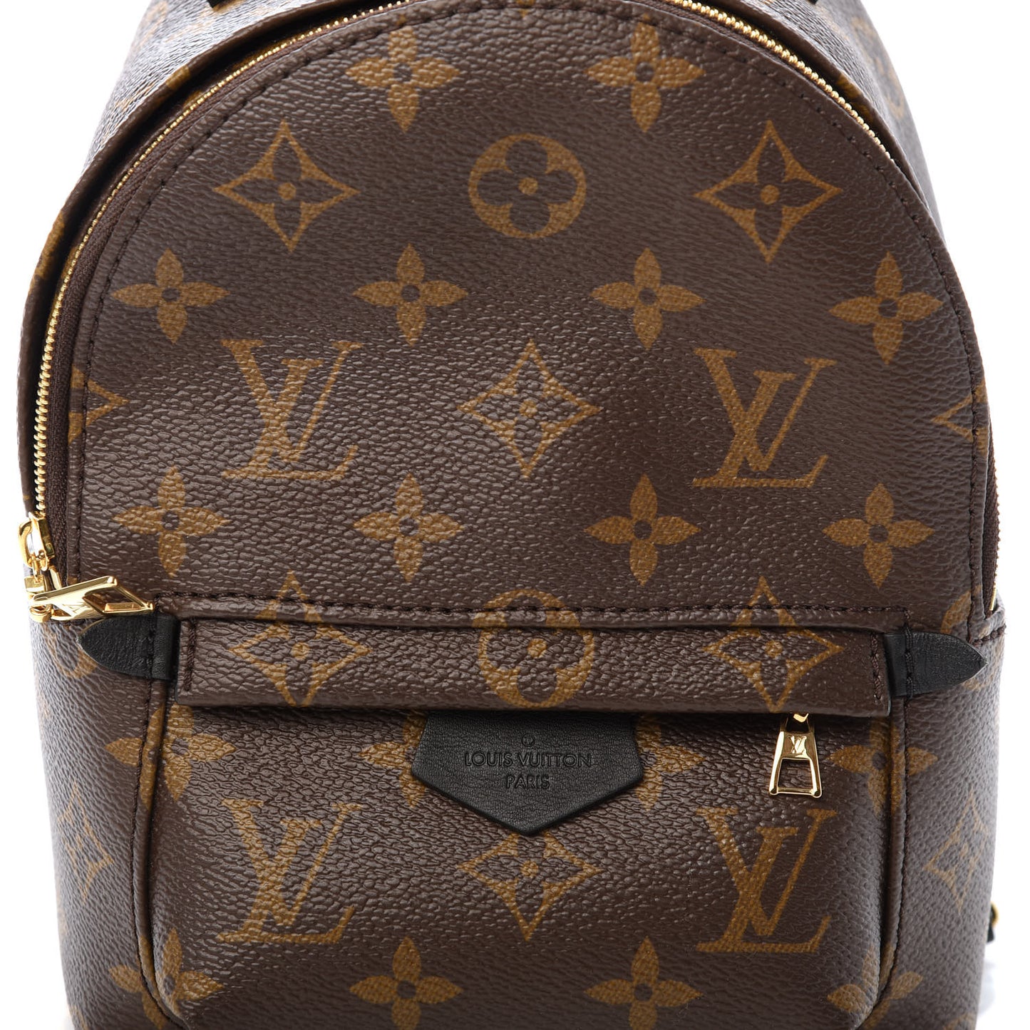 Monogram Palm Springs Backpack Mini