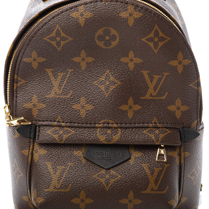 Louis Vuitton Monogram Palm Springs Backpack Mini 10 of 10