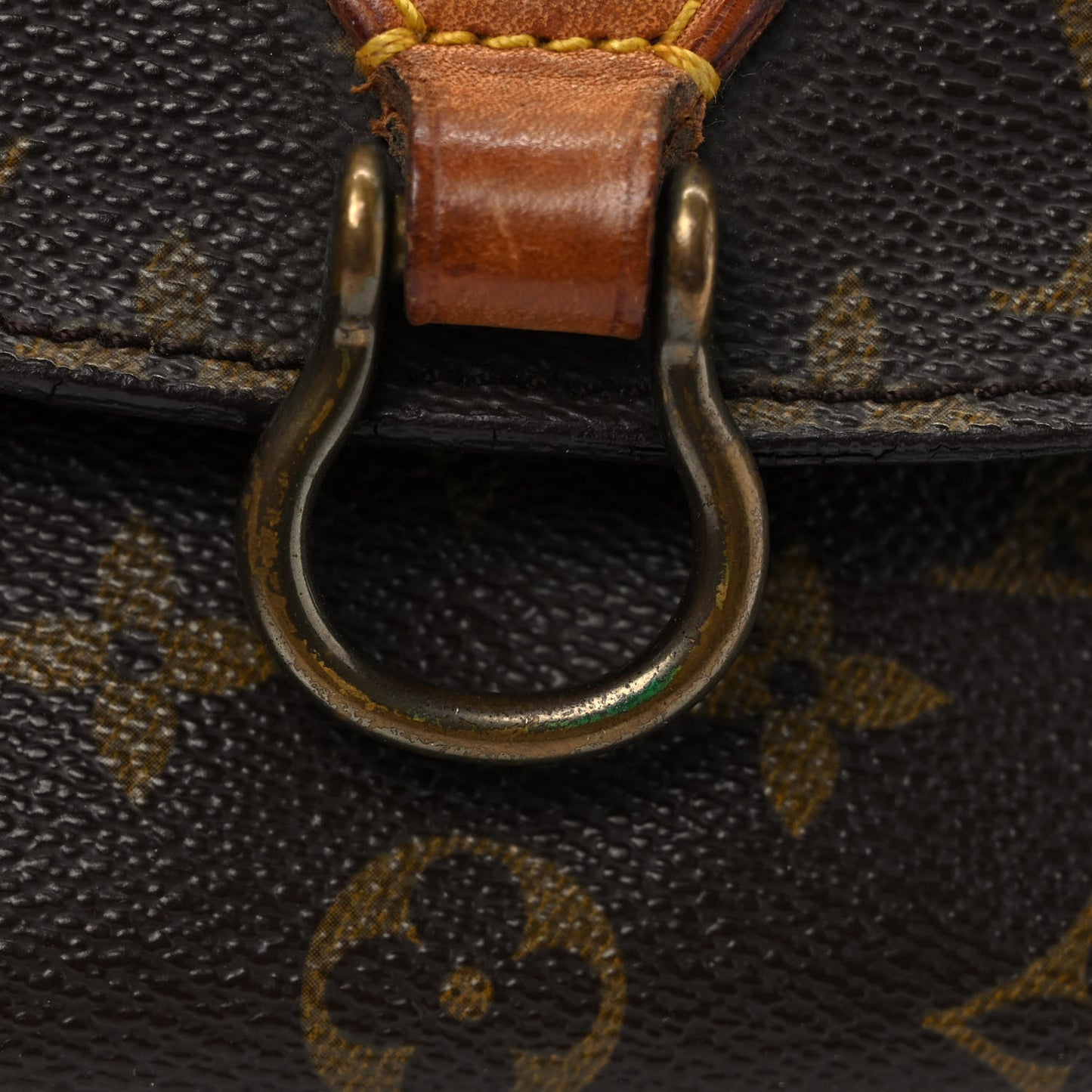 Monogram Saint Cloud PM