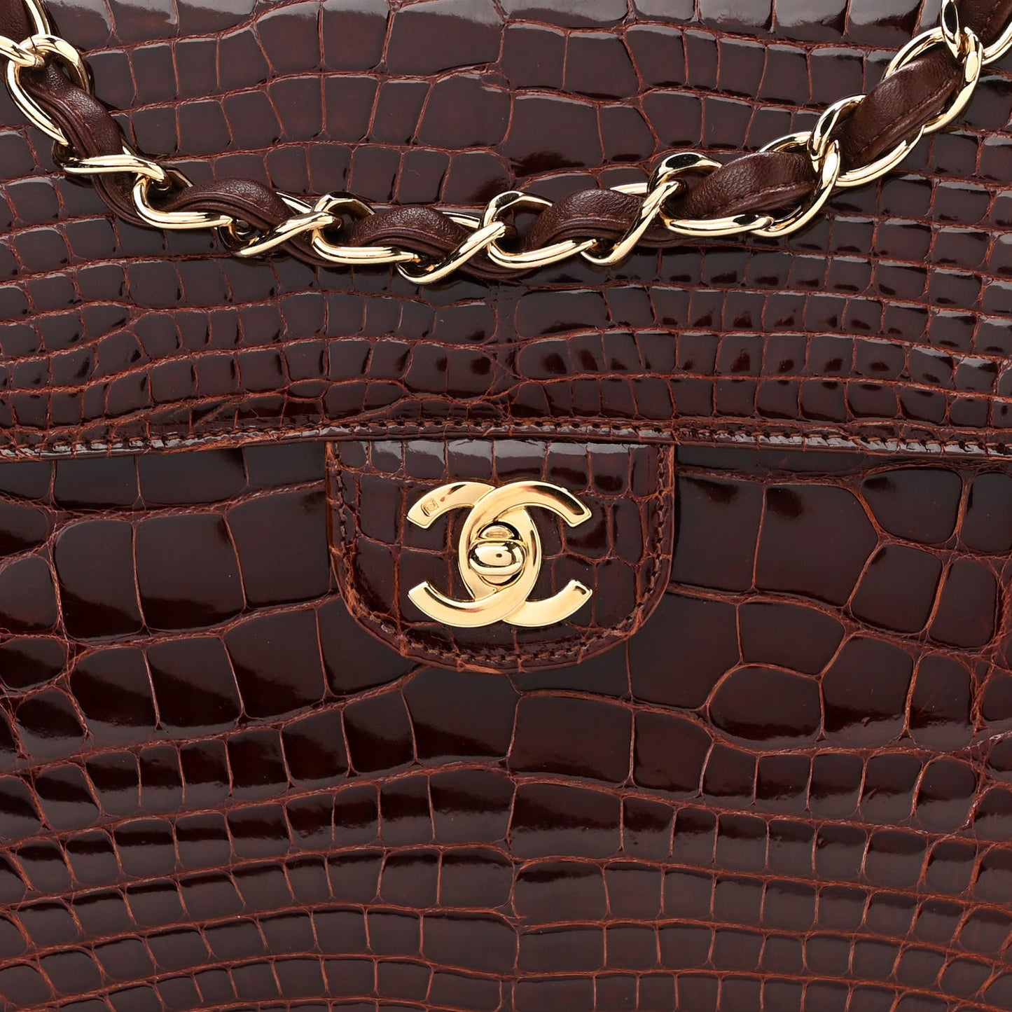 Alligator Jumbo Single Flap Dark Brown