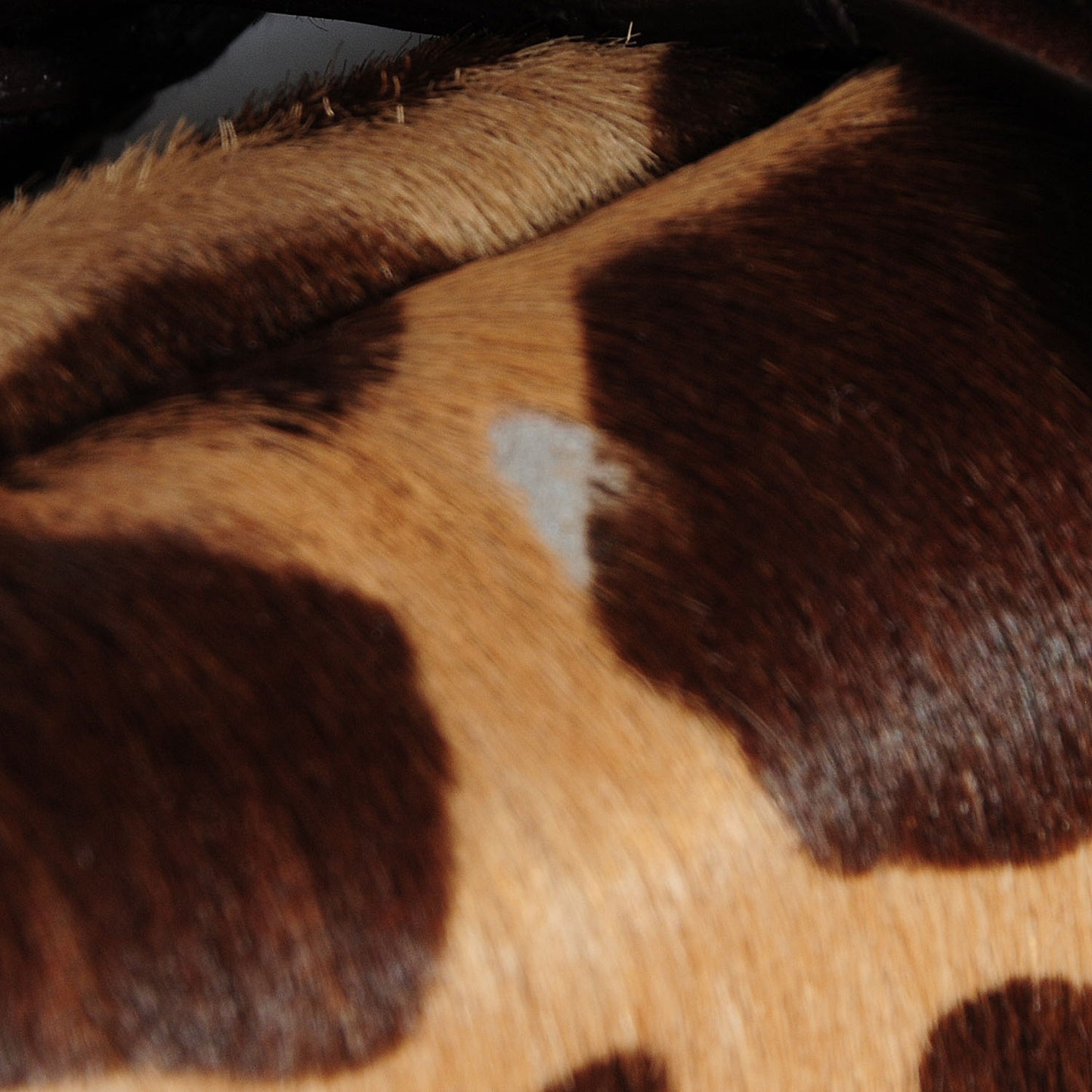Calf Hair Giraffe Print Tote Sabbia Moro
