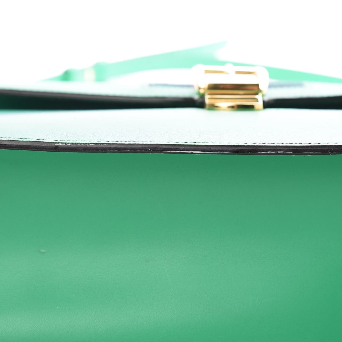 Vitello Fontanella Web Medium Sylvie Top Handle Bag Synthetic Green Garden