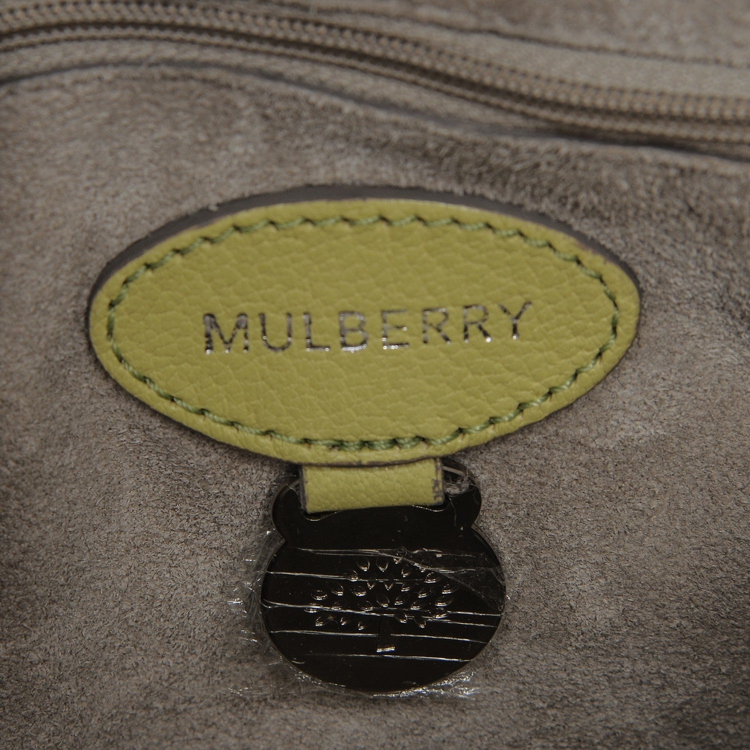 Mulberry Glossy Goatskin Small Lily Flap Pistachio 6 of 7