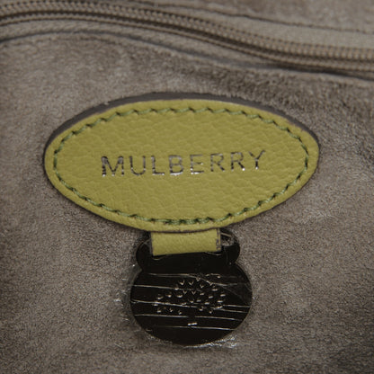 Mulberry Glossy Goatskin Small Lily Flap Pistachio 6 of 7