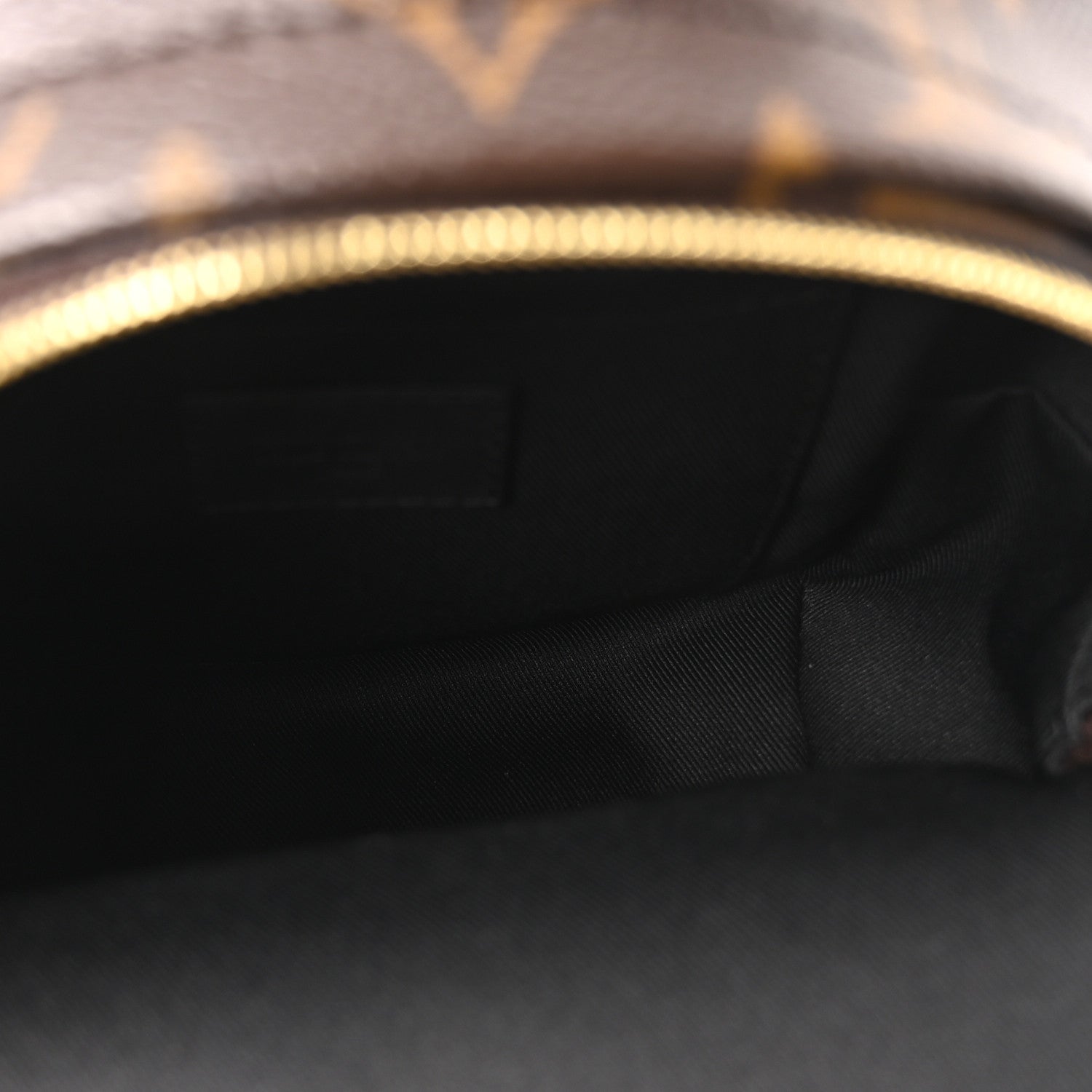 Louis Vuitton Monogram Palm Springs Backpack Mini 5 of 9