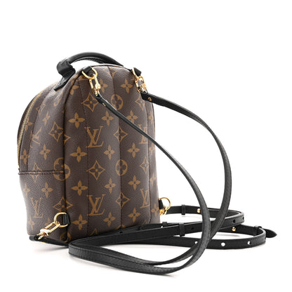 Louis Vuitton Monogram Palm Springs Backpack Mini 3 of 12