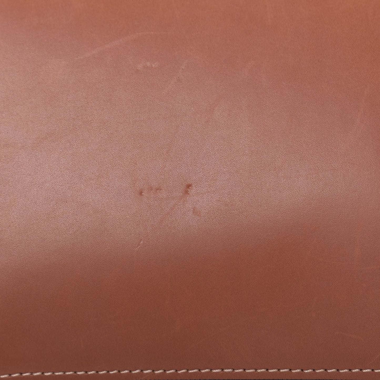 Natural Calfskin Medium Triomphe Tan