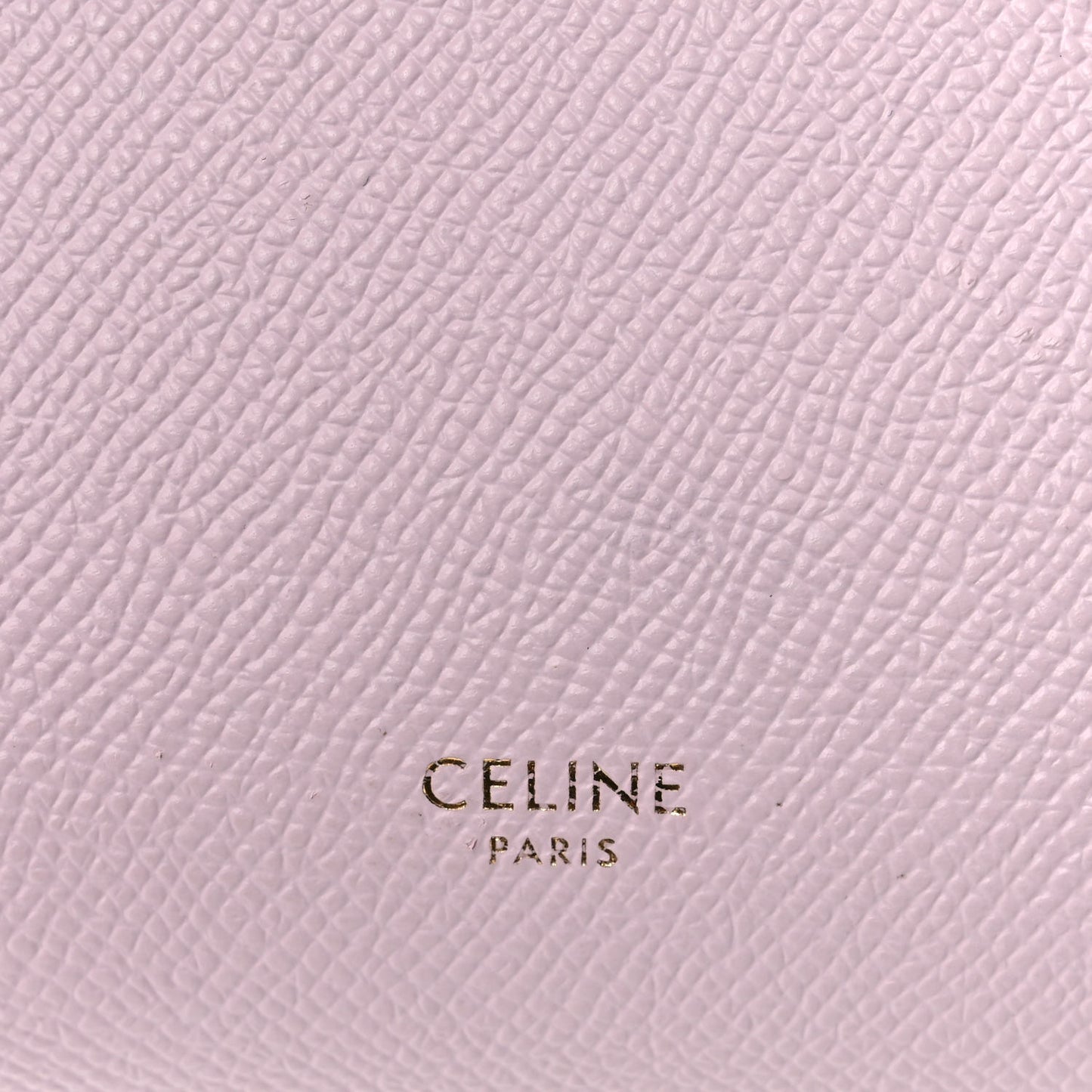 Grained Calfskin Nano Belt Bag Peony