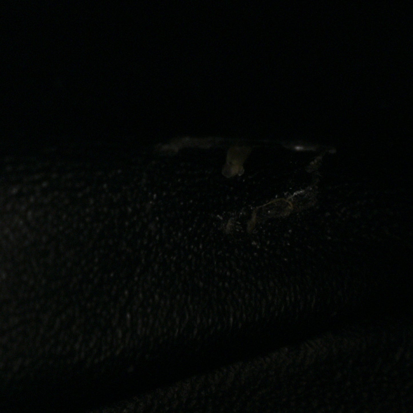 Caviar Maxi Single Flap Black
