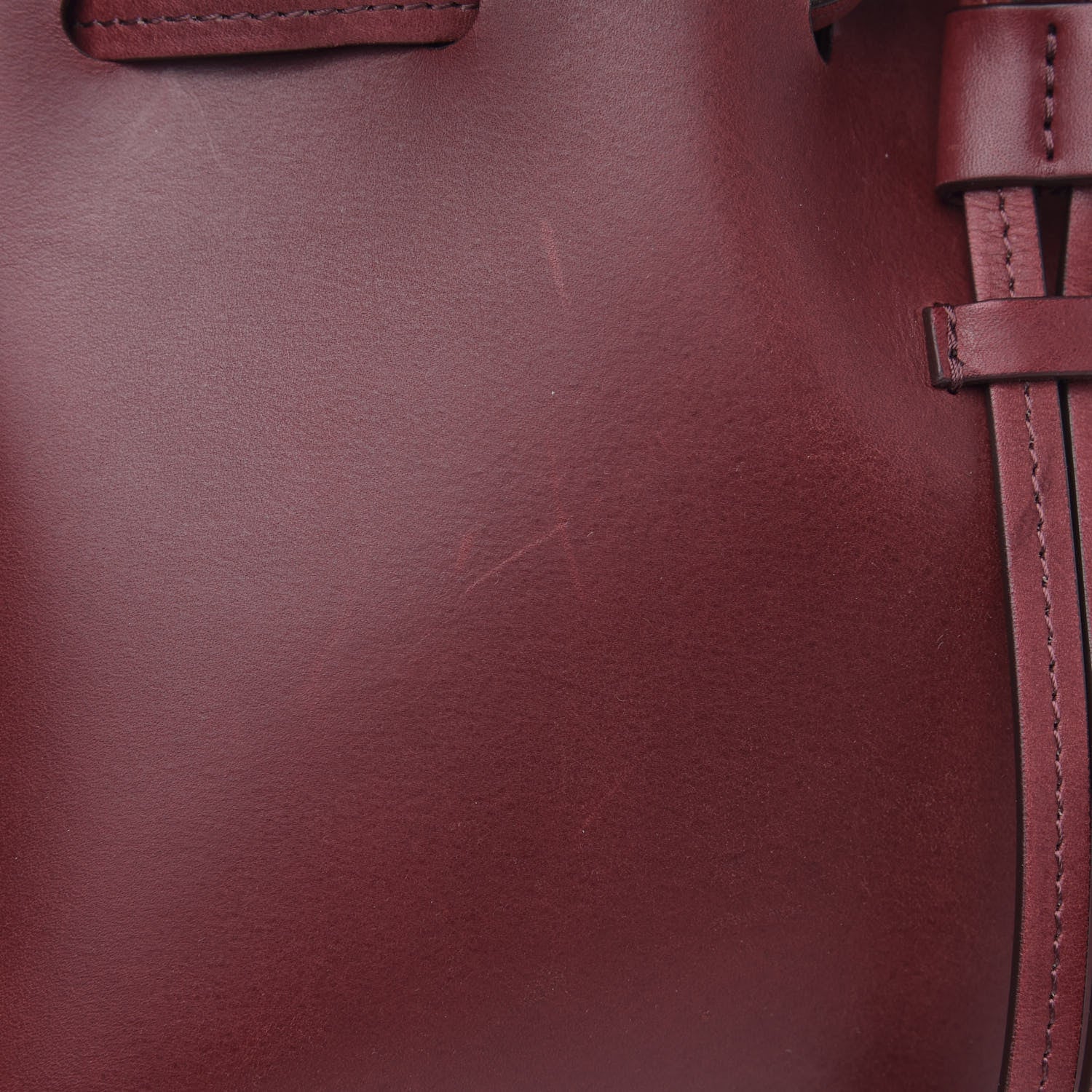 Mansur Gavriel Calfskin Mini Lady Bag Bordo 13 of 17