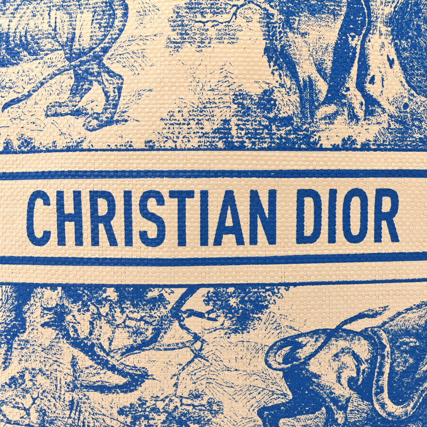 Christian Dior Straw Dioriviera Tote Blue 6 of 12