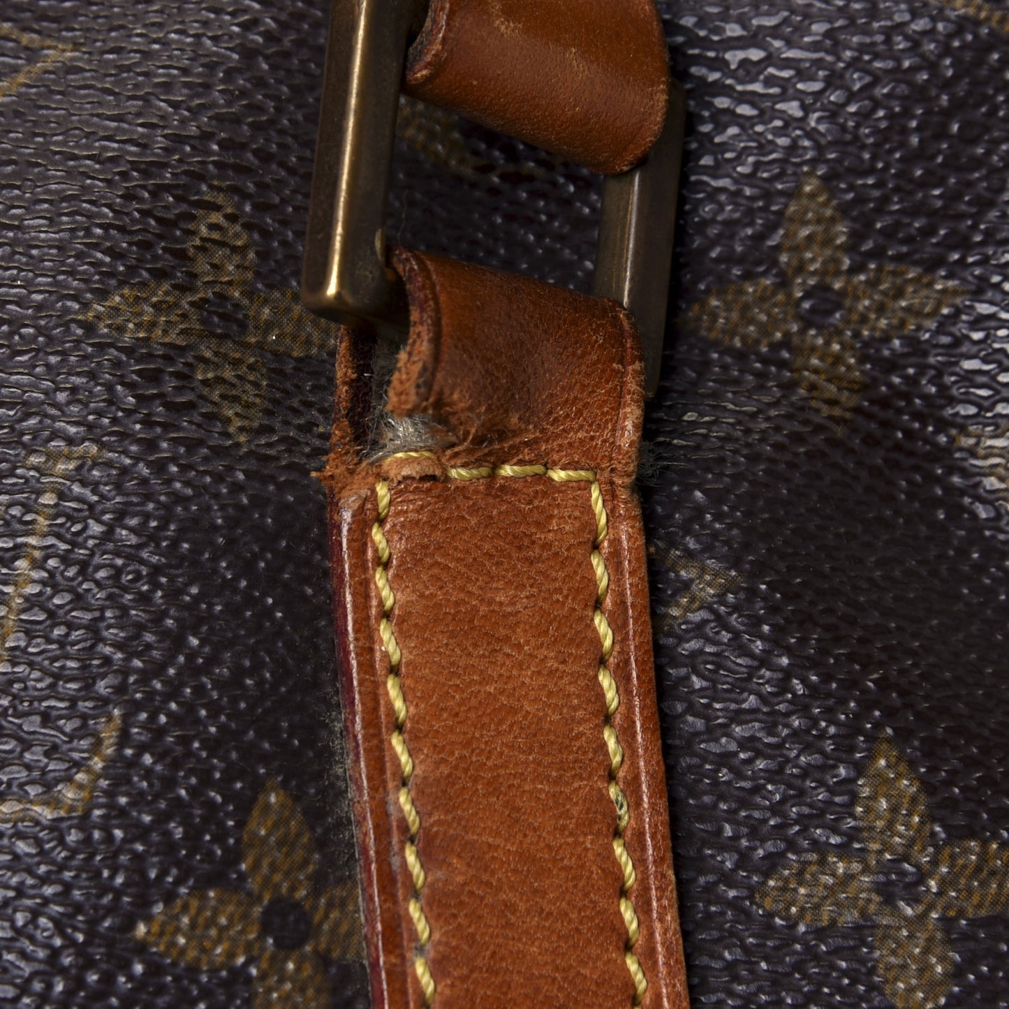 Monogram Cabas Mezzo