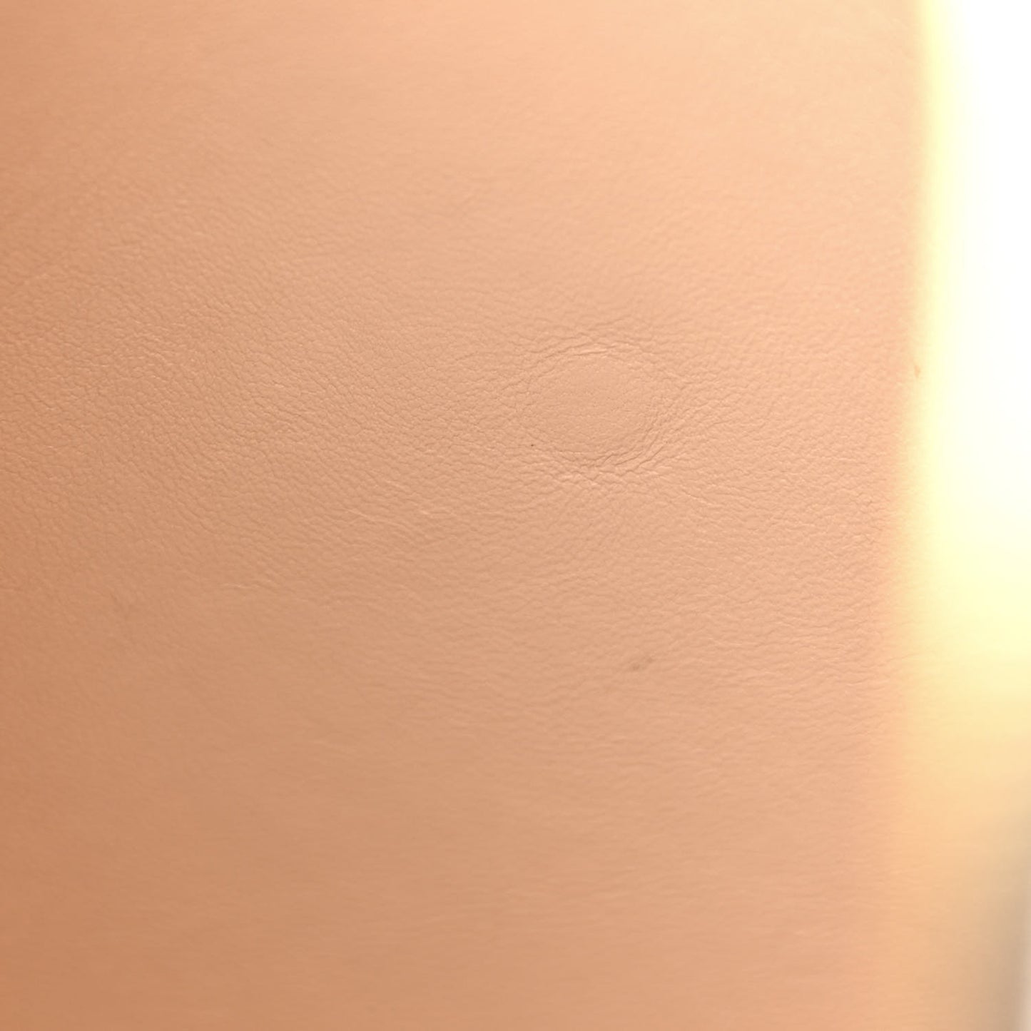 Monogram Speedy Amazon PM White Chocolat