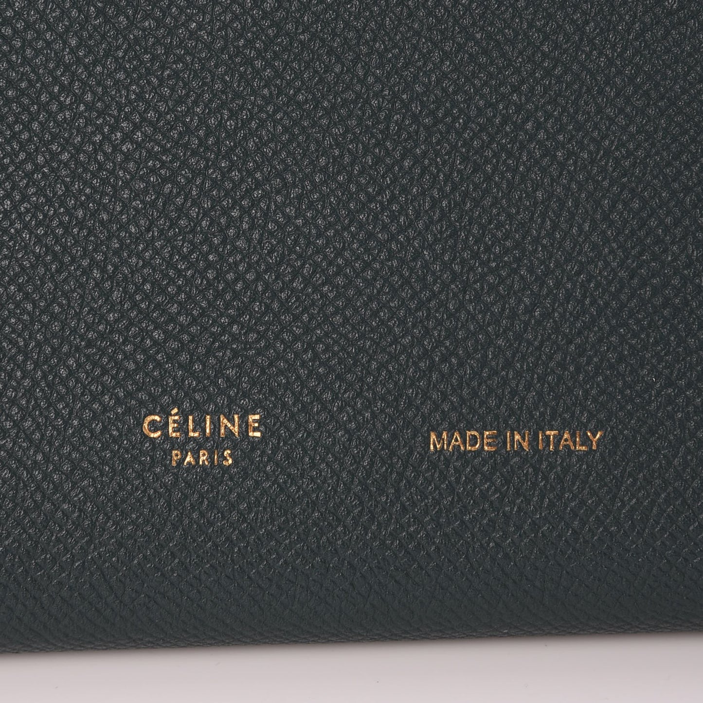 Grained Sleek Calfskin Large Multifunction Strap Wallet Amazone