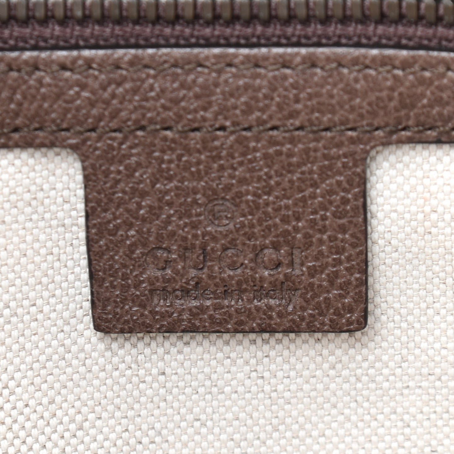 GG Supreme Monogram Web Small Ophidia Half Moon Hobo Brown