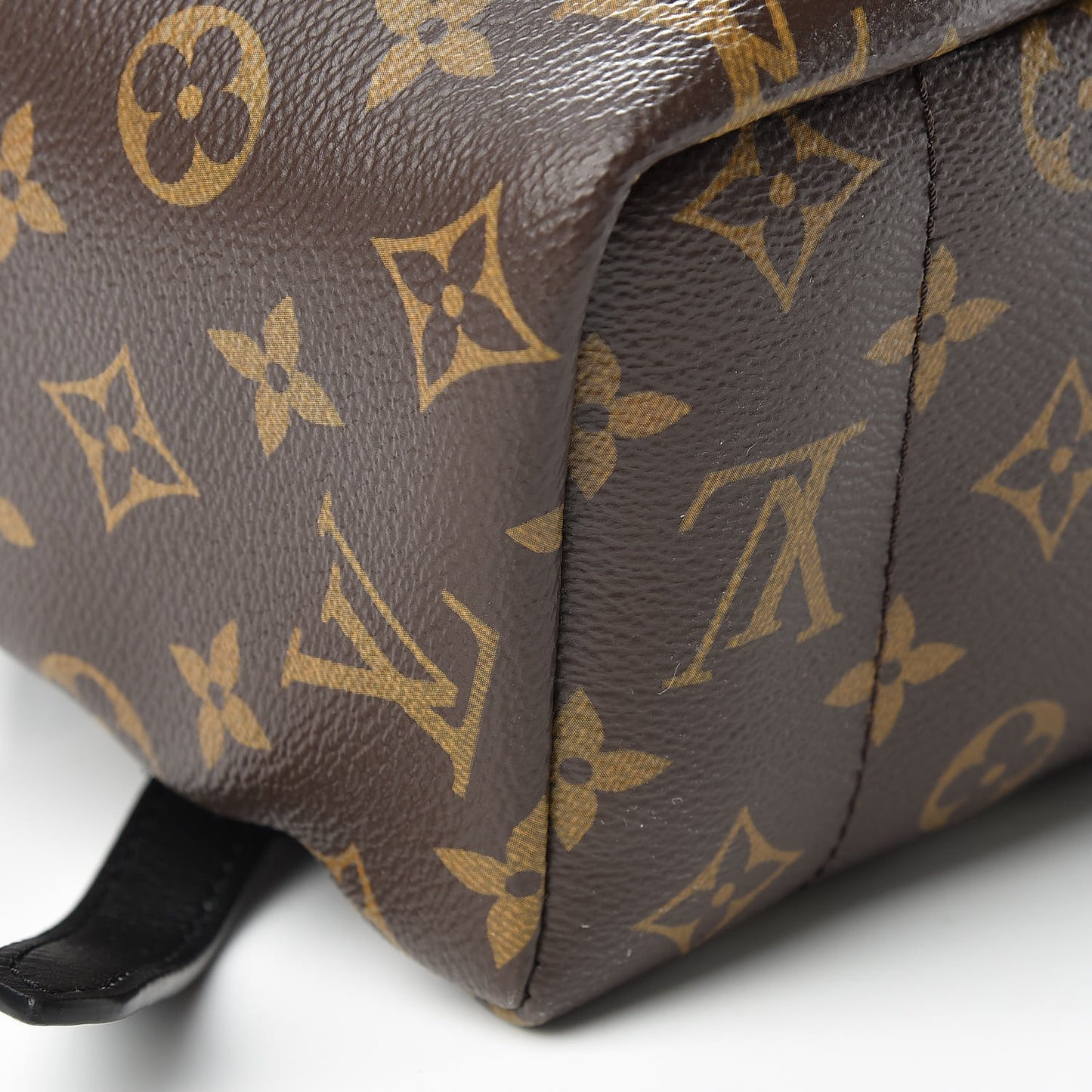 Monogram Palm Springs Backpack MM