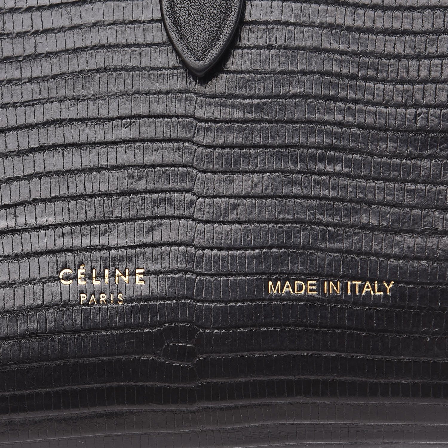 Celine Lizard Calfskin Large Multifunction Strap Wallet Black 7 of 14
