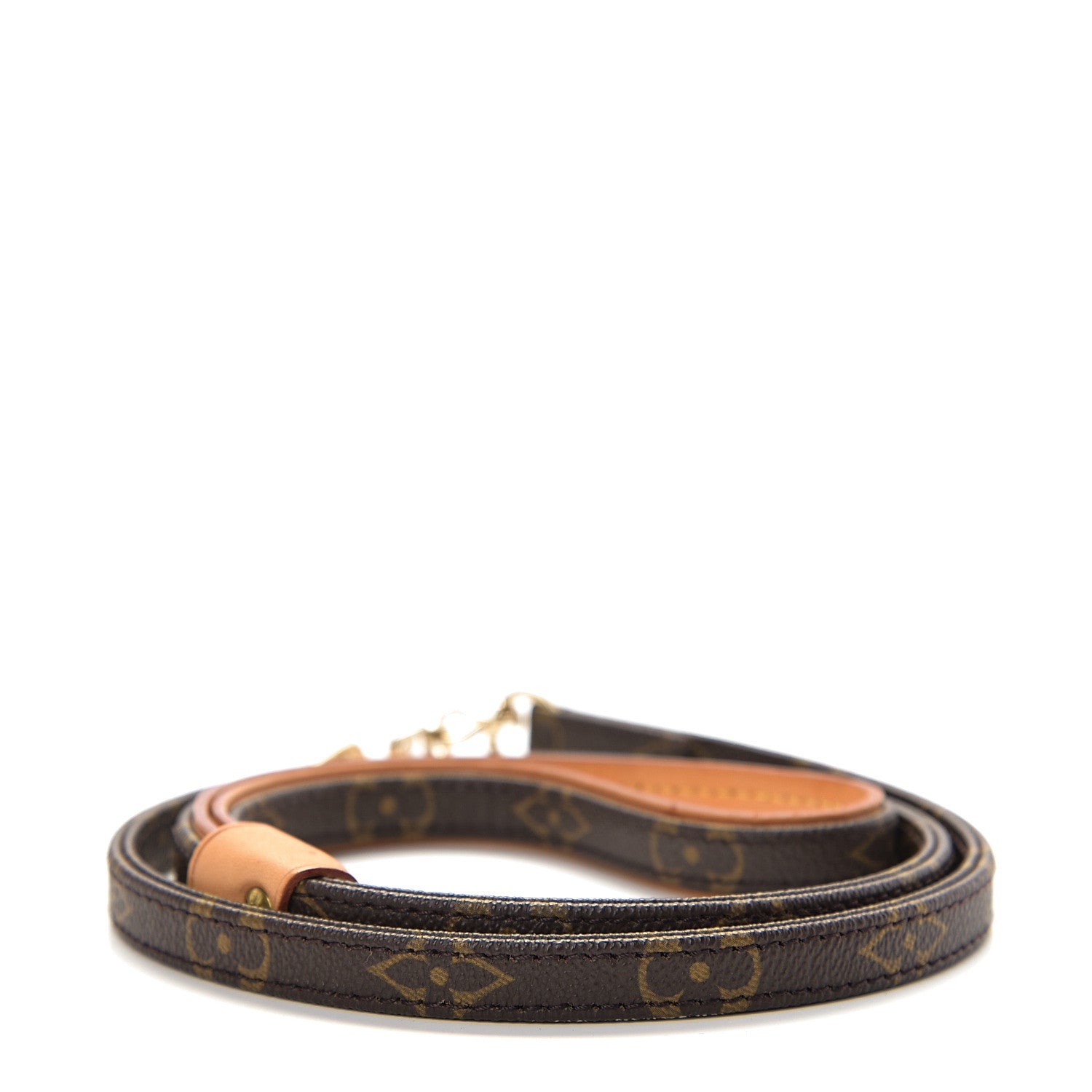 Louis Vuitton Monogram Baxter Dog Leash MM 2 of 3