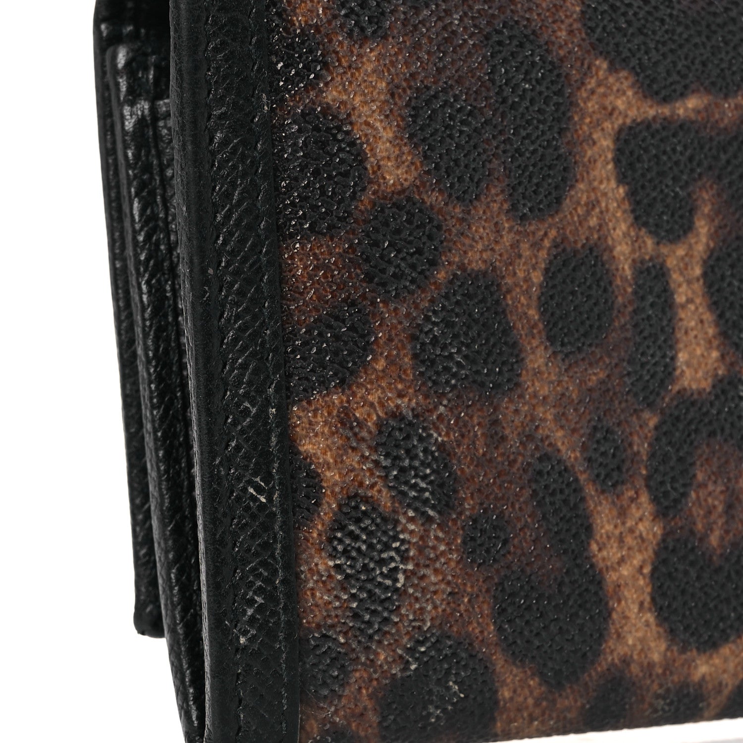 Dolce & Gabbana Dauphine Leopard Print Continental Flap Wallet 12 of 13