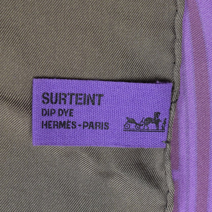 Hermes Silk Dip Dye Ex Libris Scarf 140 6 of 8