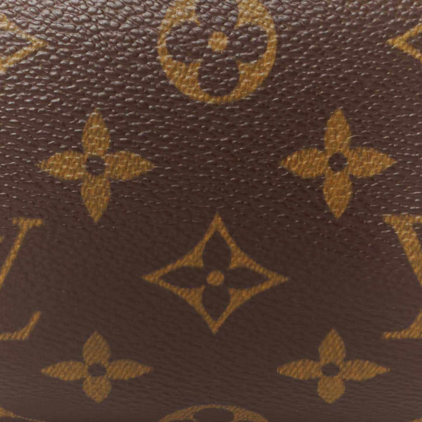 Monogram Papillon 26