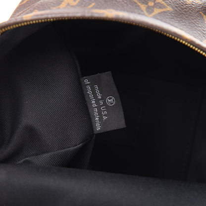 Louis Vuitton Monogram Palm Springs Backpack Mini 6 of 11