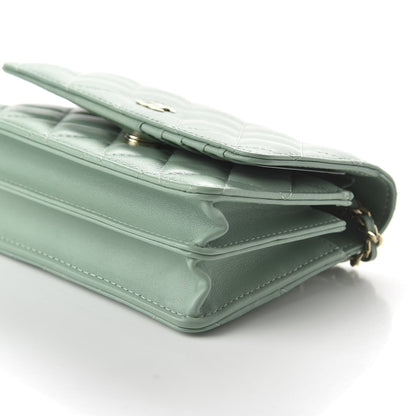 Chanel Lambskin Quilted Mini Wallet On Chain WOC Light Green 7 of 11