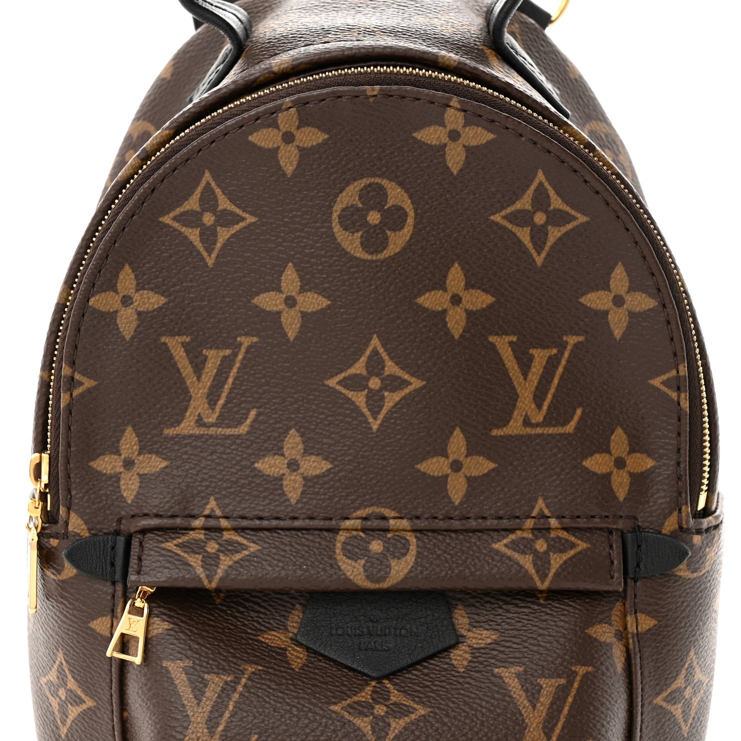 Monogram Palm Springs Backpack Mini