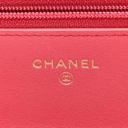 Chanel Shiny Goatskin Quilted Chanel 19 Wallet On Chain WOC Dark Pink 6 of 11