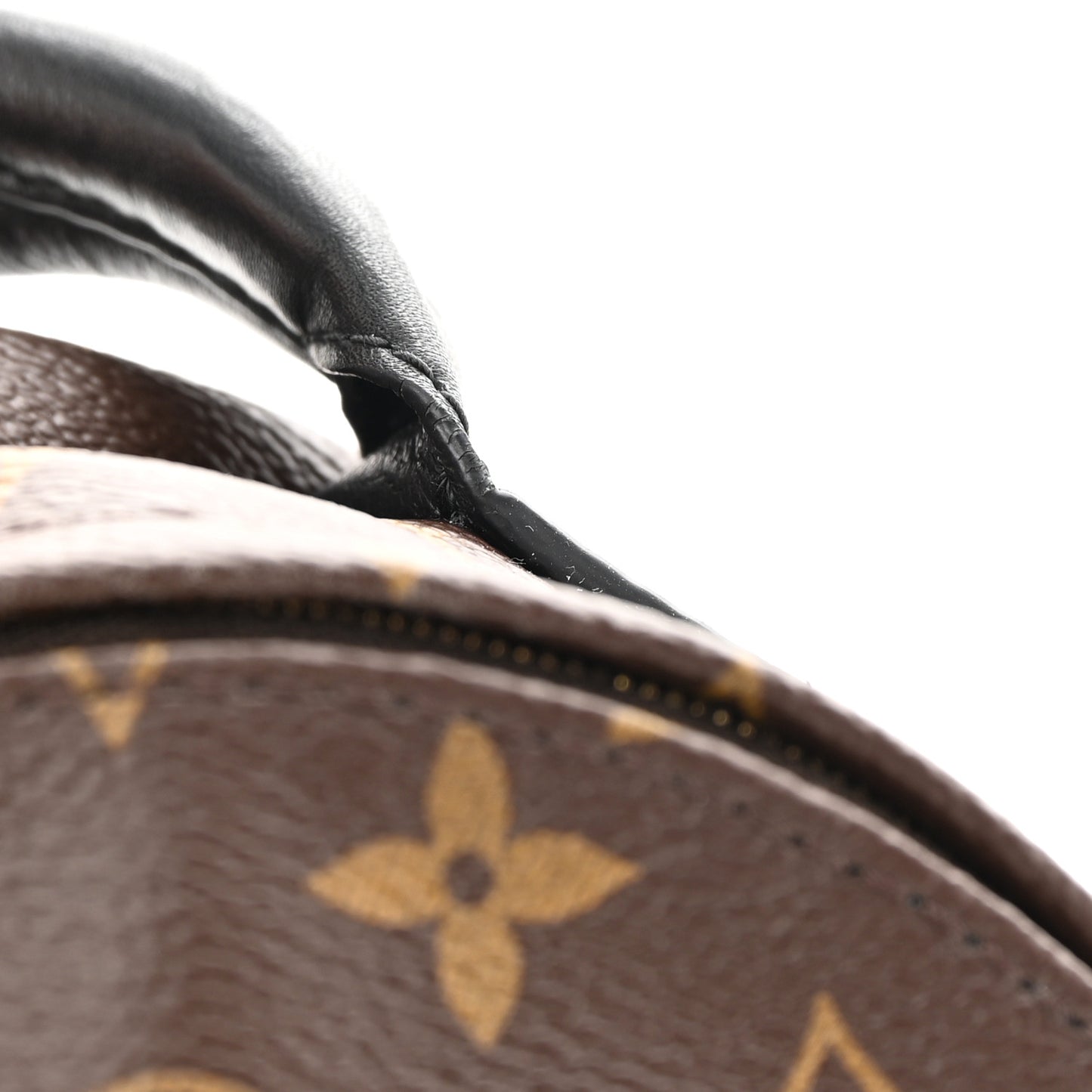 Monogram Palm Springs Backpack Mini