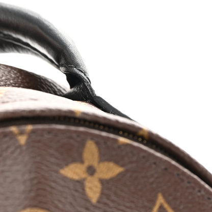 Louis Vuitton Monogram Palm Springs Backpack Mini 13 of 14
