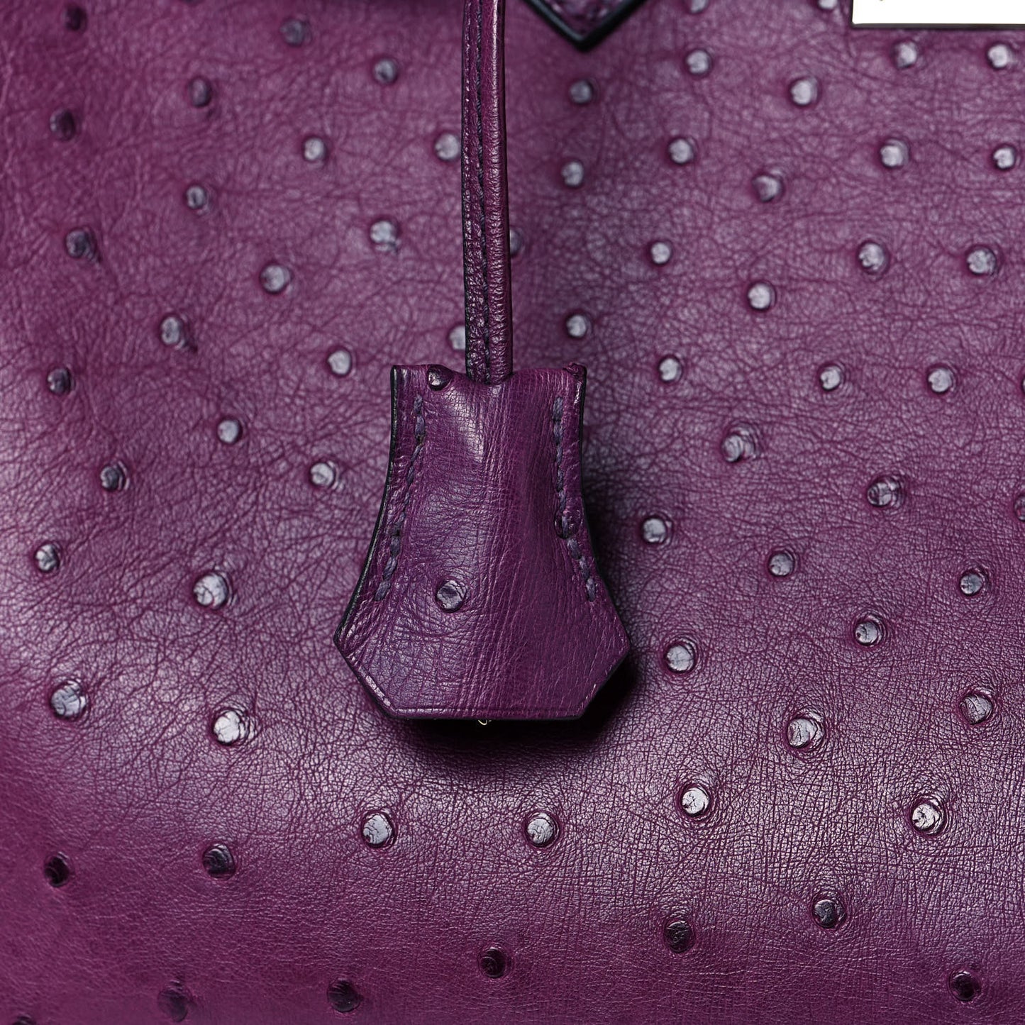 Ostrich Birkin 30 Violine