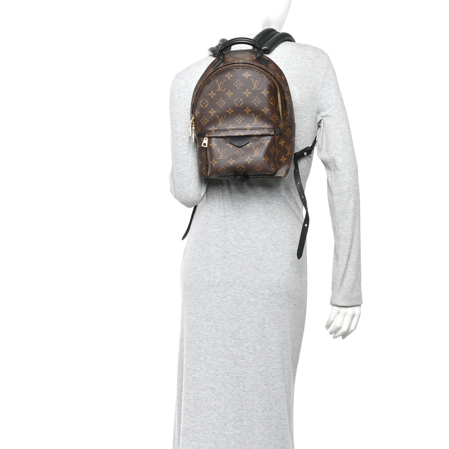 Monogram Palm Springs Backpack PM