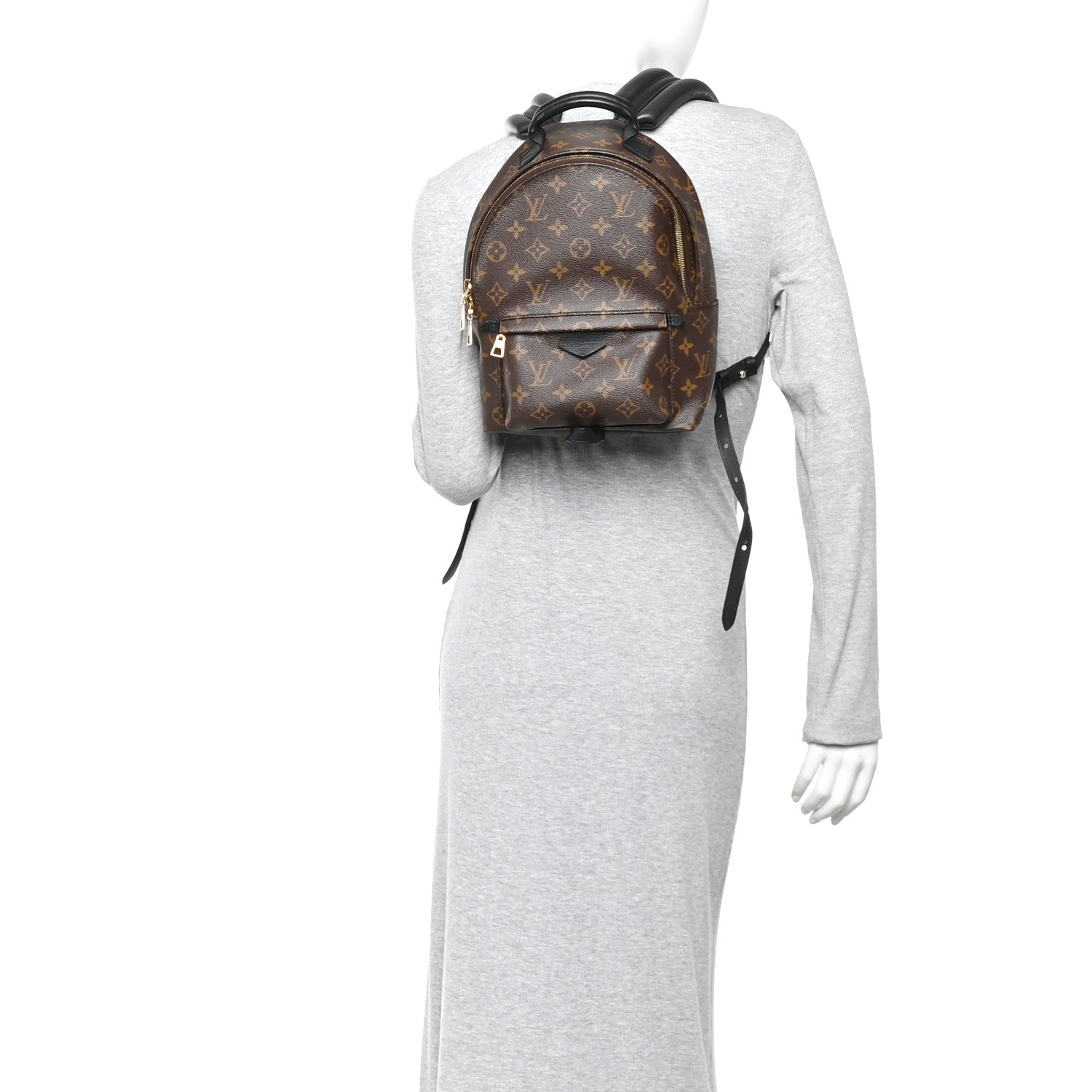 Louis Vuitton Monogram Palm Springs Backpack PM 2 of 9