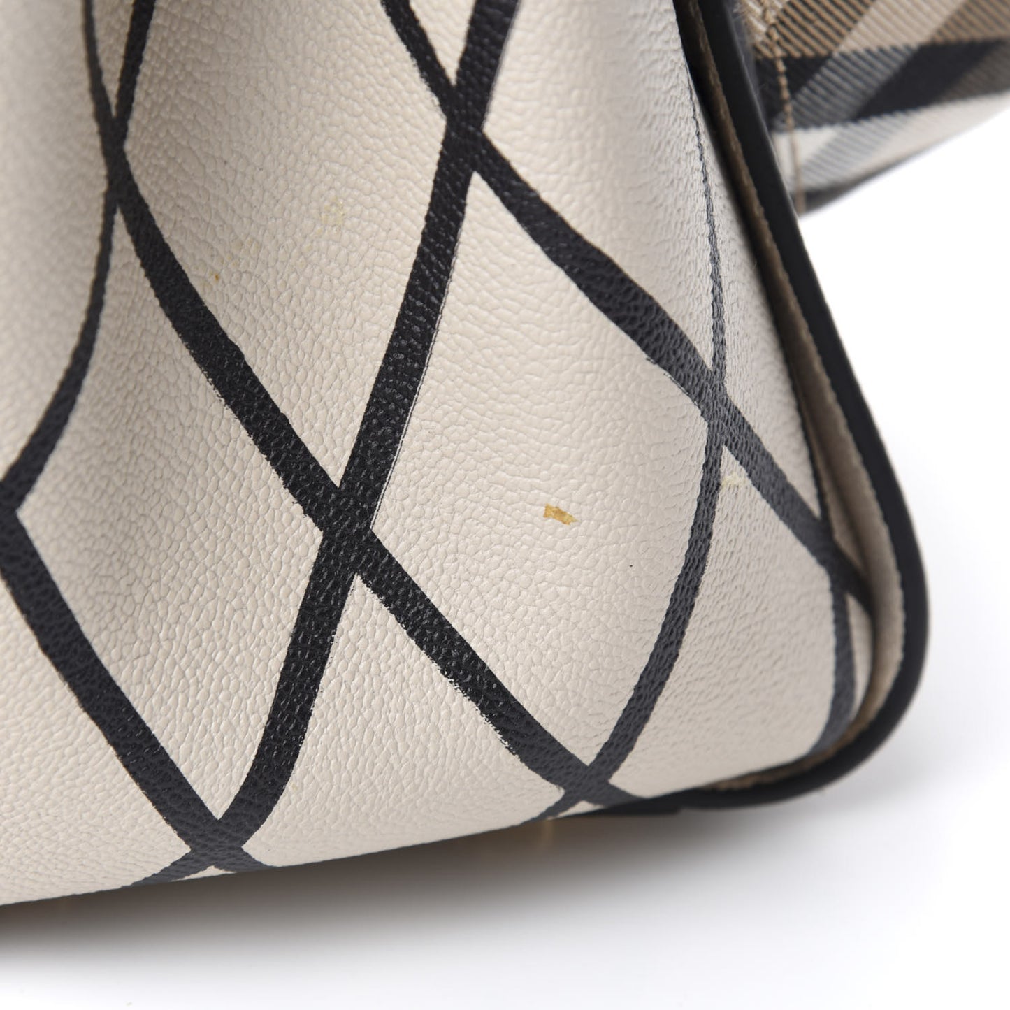 Soft Grain Calfskin L'oeil Print Medium Buckle Tote Limestone