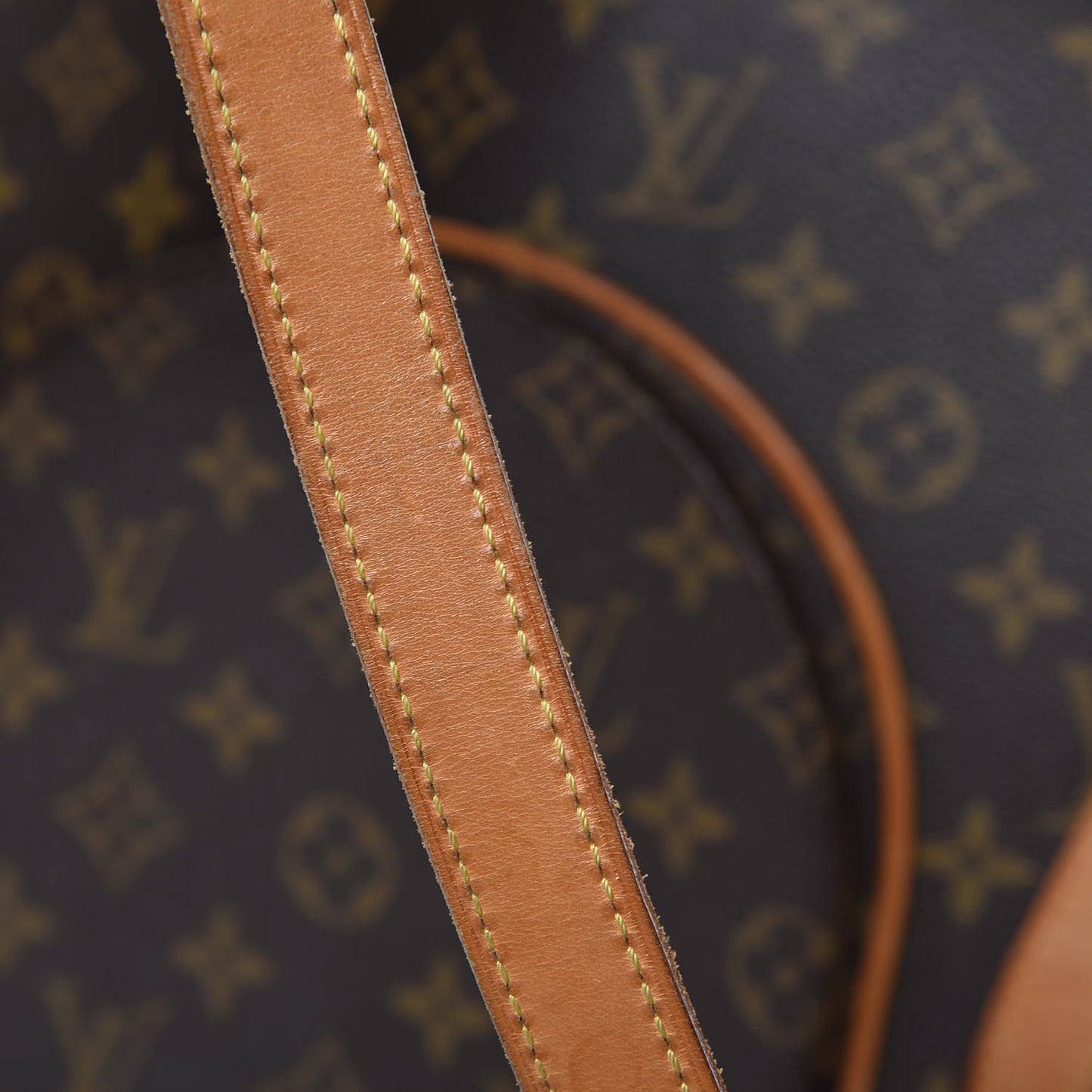 Monogram Ellipse GM Shopping Bag