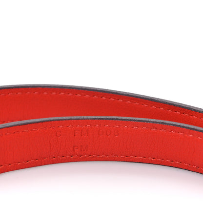 Hermes Swift 16mm Mini Dog Carres Bag Strap Capucine 4 of 4