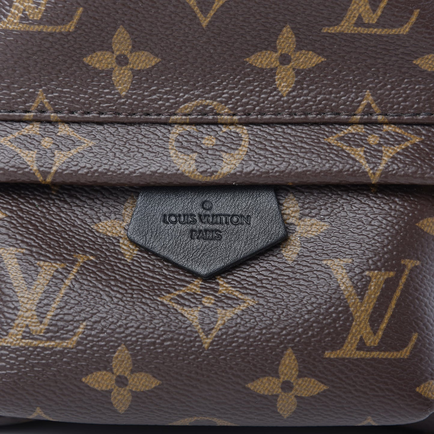 Monogram Palm Springs Backpack Mini