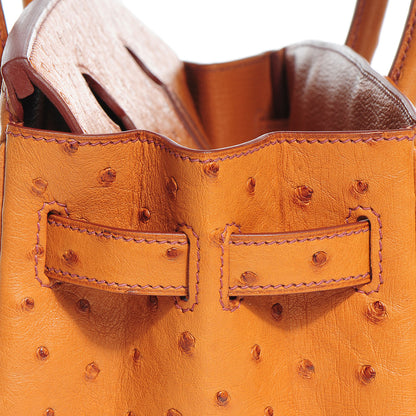 Hermes Ostrich Birkin 30 Cognac 19 of 29