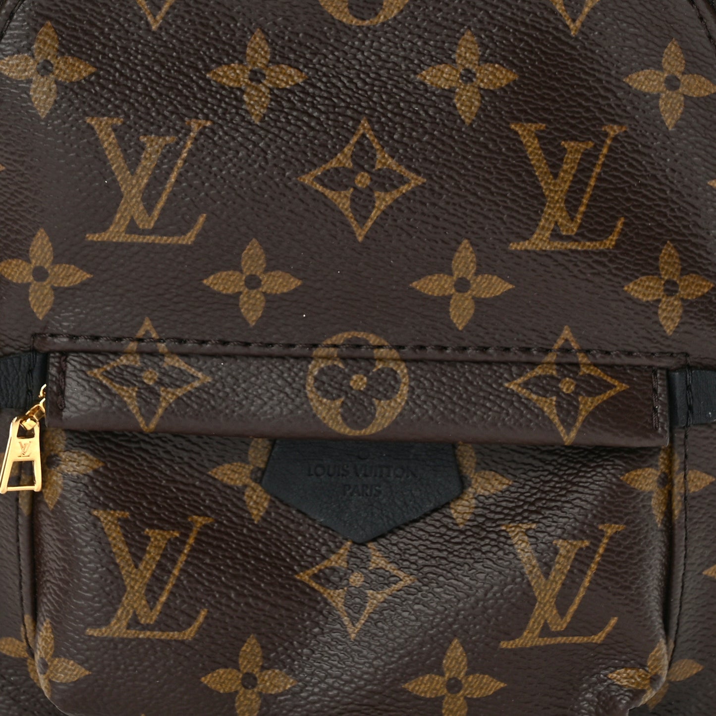 Monogram Palm Springs Backpack Mini