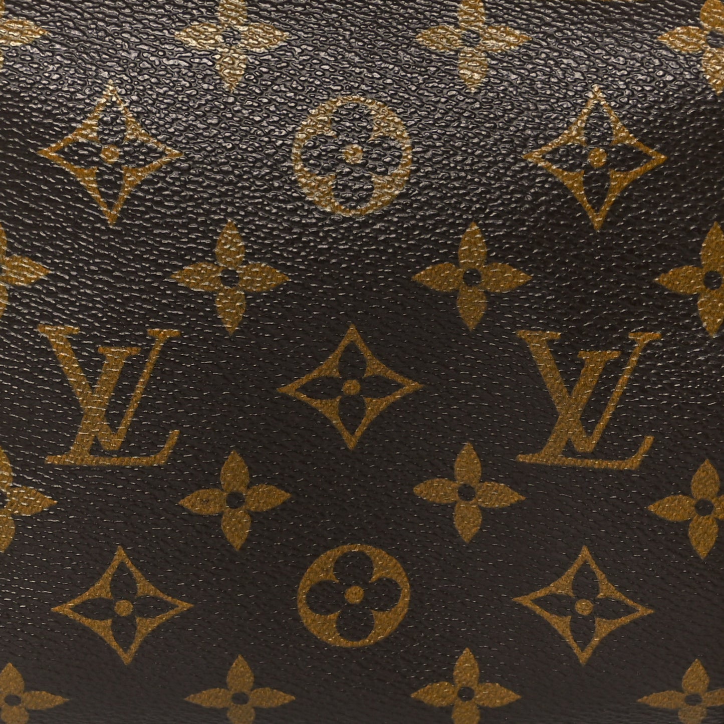 Monogram Papillon 30