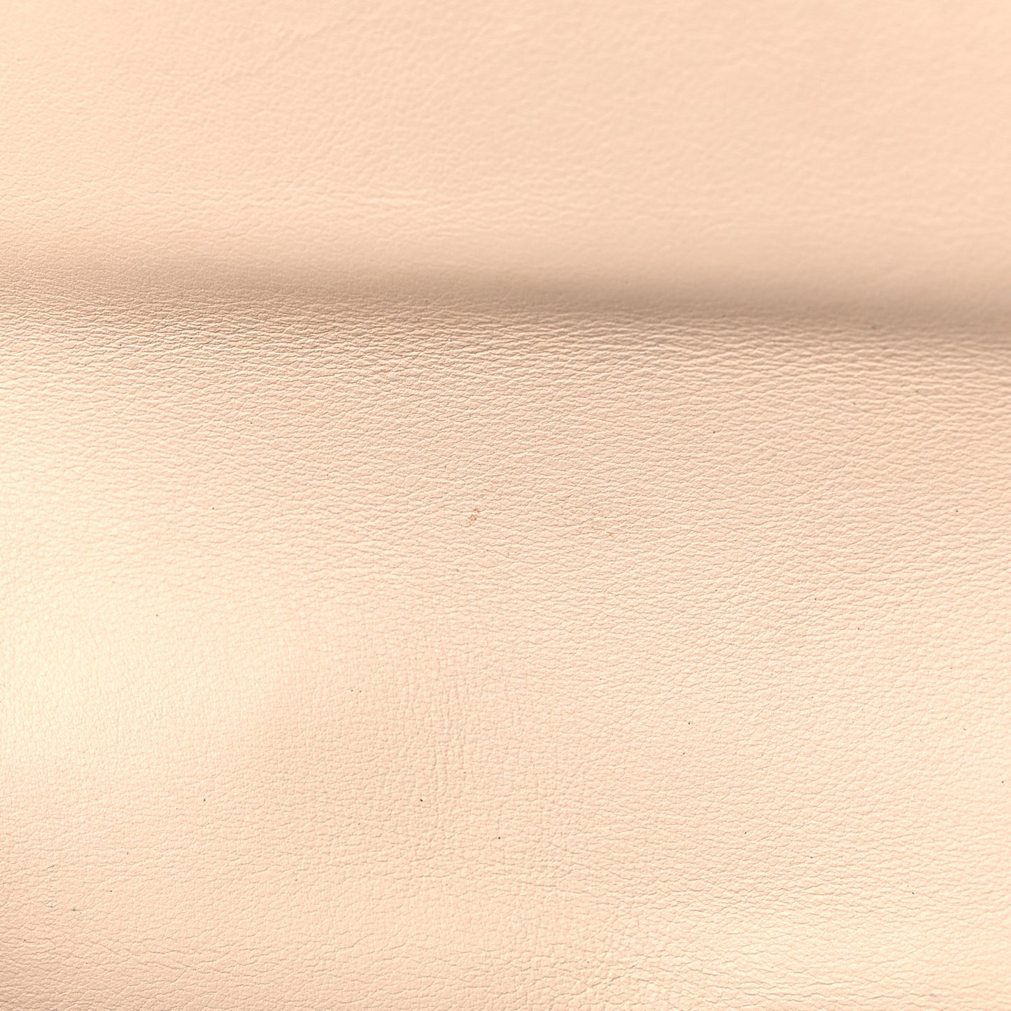 Snakeskin Mini Dionysus Chain Wallet Multicolor